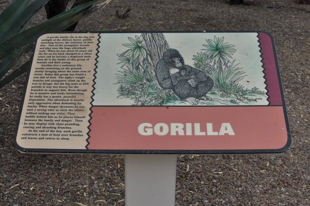Safari Trail features information about African animals | Neighborhood Spotlight: Rancho Sahuarita