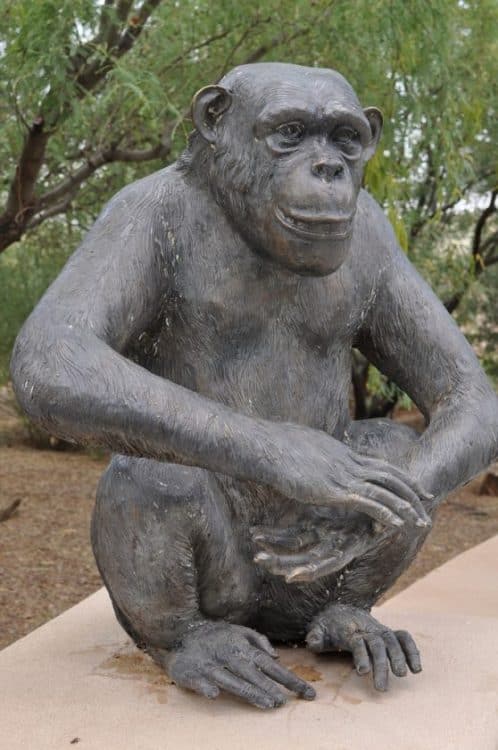 bronze monkey on the Safari Trail | Neighborhood Spotlight: Rancho Sahuarita