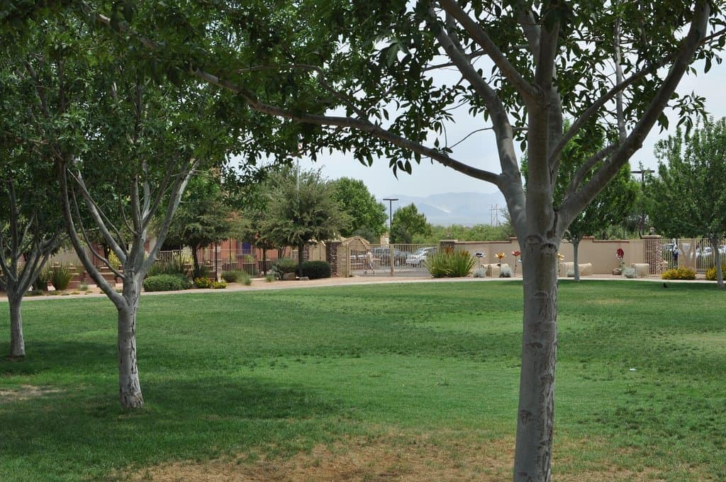 green grass at Rancho Sahuarita | Neighborhood Spotlight: Rancho Sahuarita