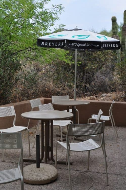outdoor seating at Cottonwood Snack Shop | Guide to Arizona-Sonora Desert Museum