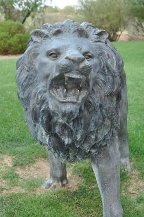 roaring lion at Rancho Sahuarita | Neighborhood Spotlight: Rancho Sahuarita