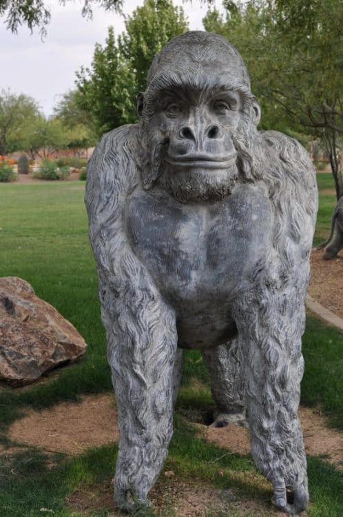 smiling gorilla on Safari Trail | Neighborhood Spotlight: Rancho Sahuarita