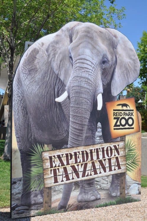 Expedition Tanzania Reid Park Zoo