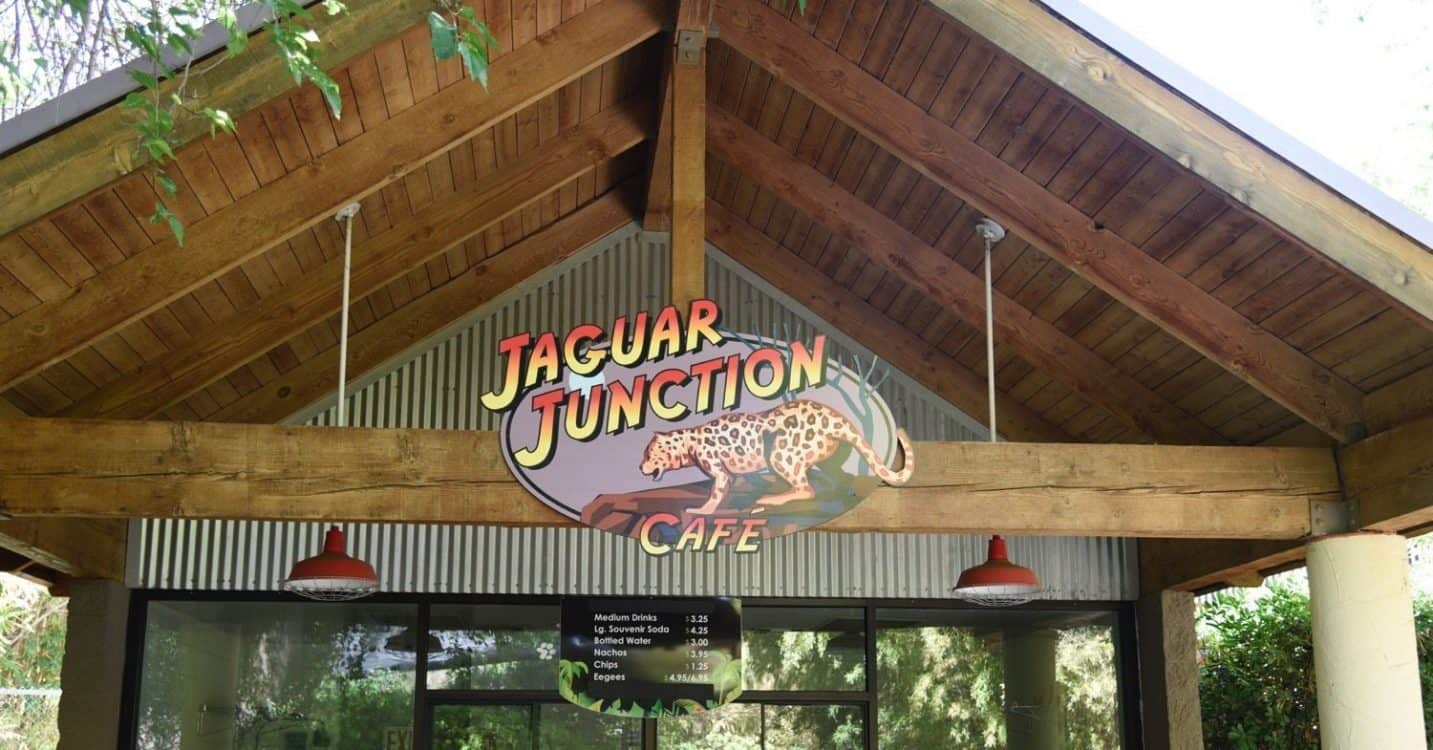 Jaguar Junction Cafe Reid Park Zoo