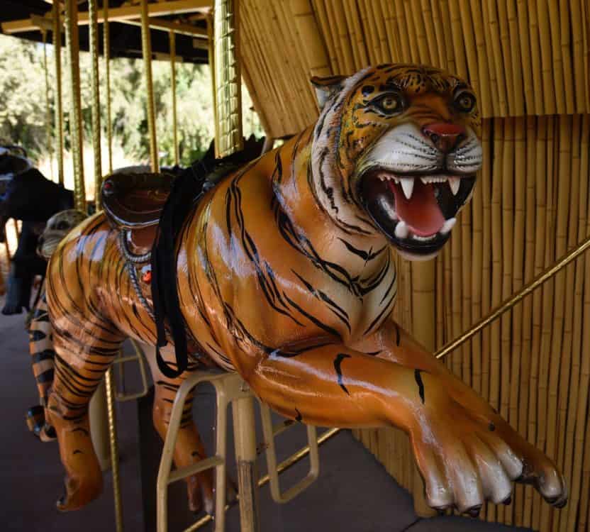 tiger carousel Reid Park Zoo