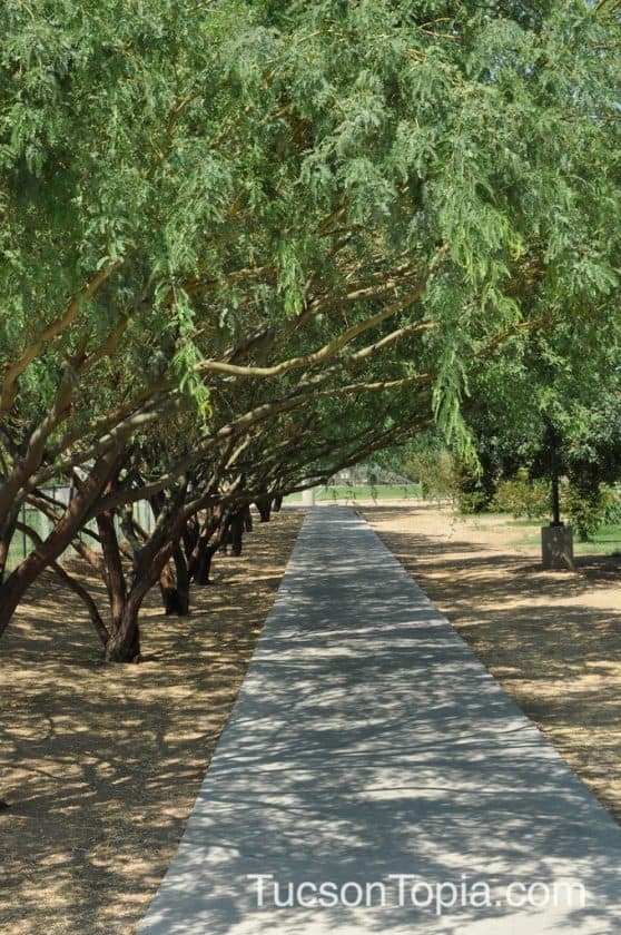 Park Profile Brandi Fenton Memorial Park TucsonTopia