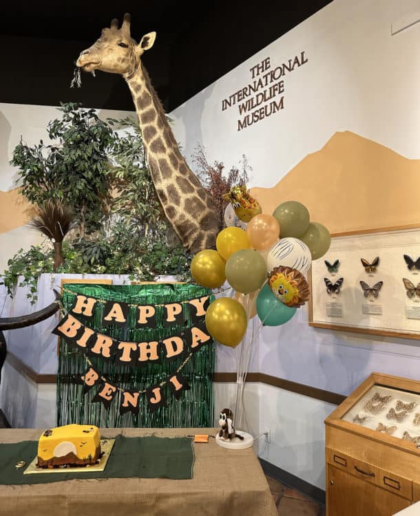 Birthday Party International Wildlife Museum Tucson | International Wildlife Museum - Attraction Guide