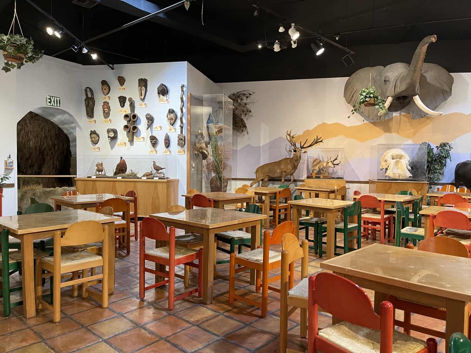 Colorful Party Room International Wildlife Museum Tucson | International Wildlife Museum - Attraction Guide