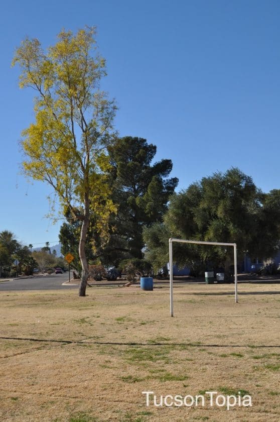 Park Profile La Madera Park TucsonTopia