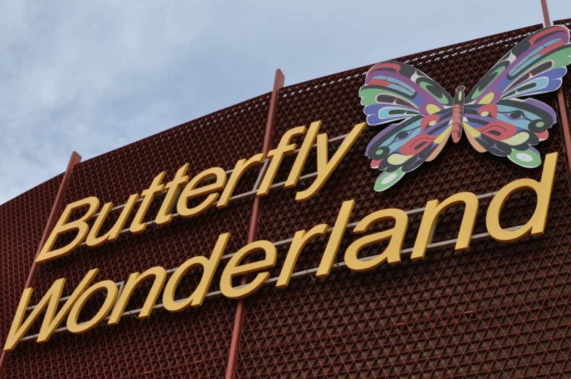 Butterfly Wonderland AZ