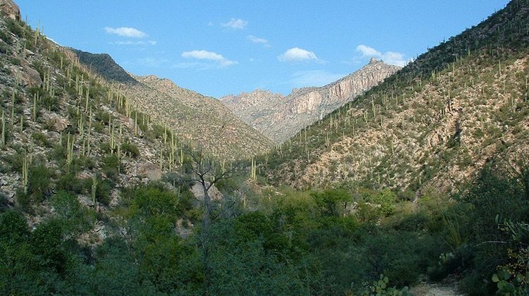Sabino Canyon in Tucson