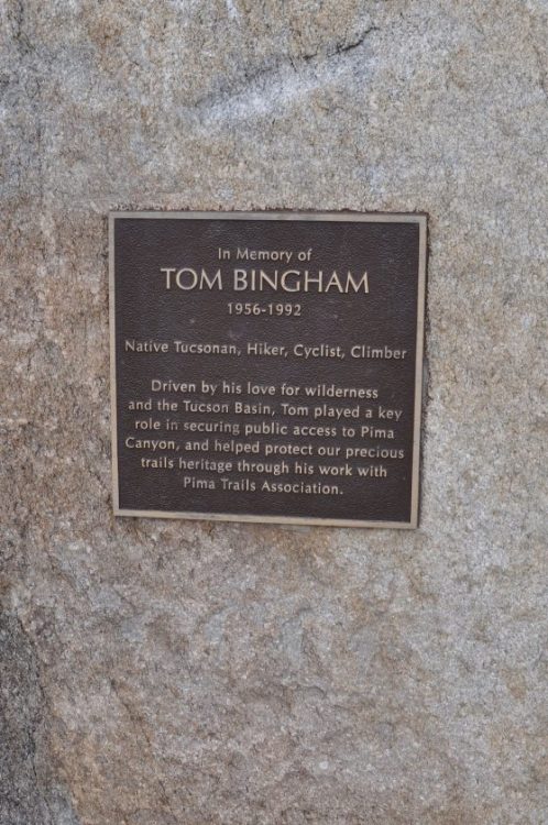 In Memory of Tom Bingham at Pima Canyon