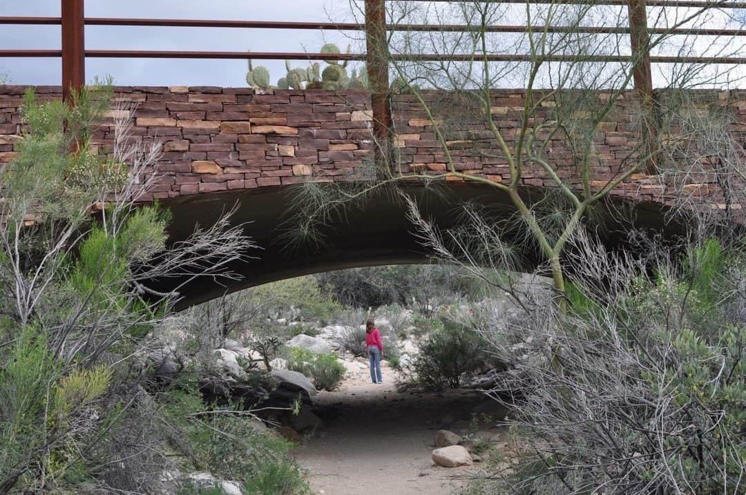 bridge at Pima Canyon