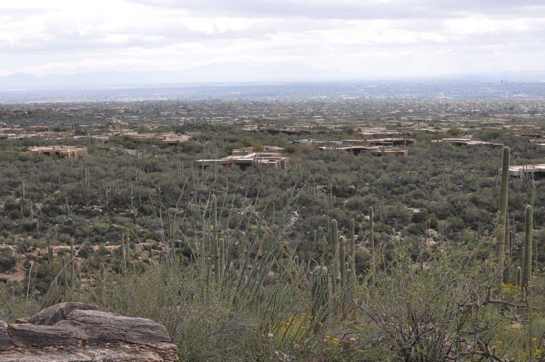 view from Pima Canyon