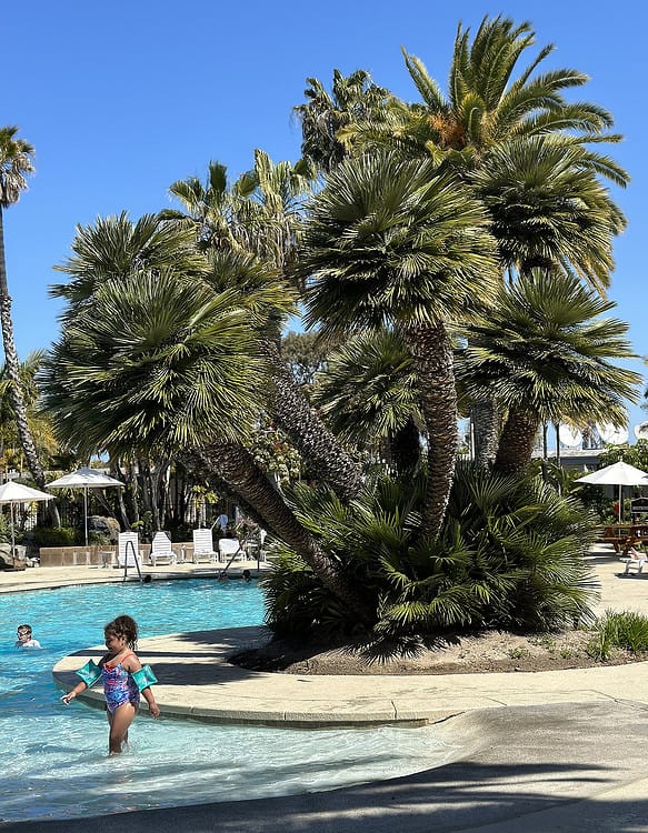 Child Swimming Paradise Point Resort San Diego | ROAD TRIP: Tucson to San Diego
