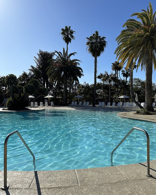 Palm Trees Swimming Pool Paradise Point Resort San Diego | ROAD TRIP: Tucson to San Diego