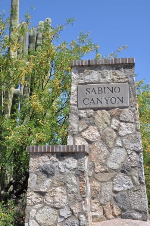 Sabino Canyon in Tucson AZ