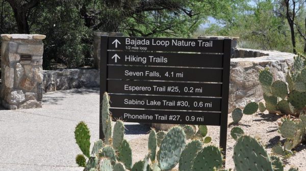 Sabino Lake Trail at Sabino Canyon