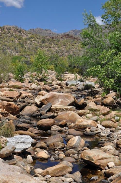 rocks and water at Sabino Canyon
