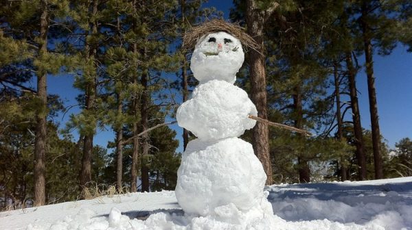 hombre de nieve en el Monte Lemmon