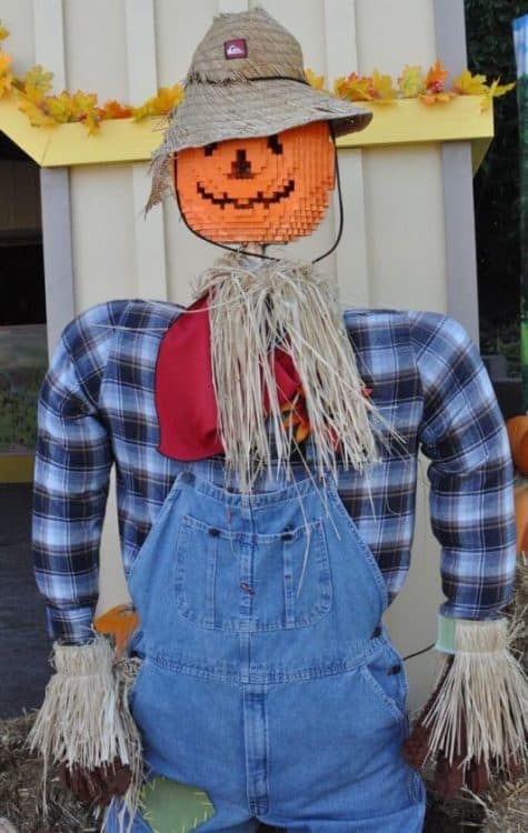 pumpkin scarecrow at LEGOLAND California | ROAD TRIP: Carlsbad