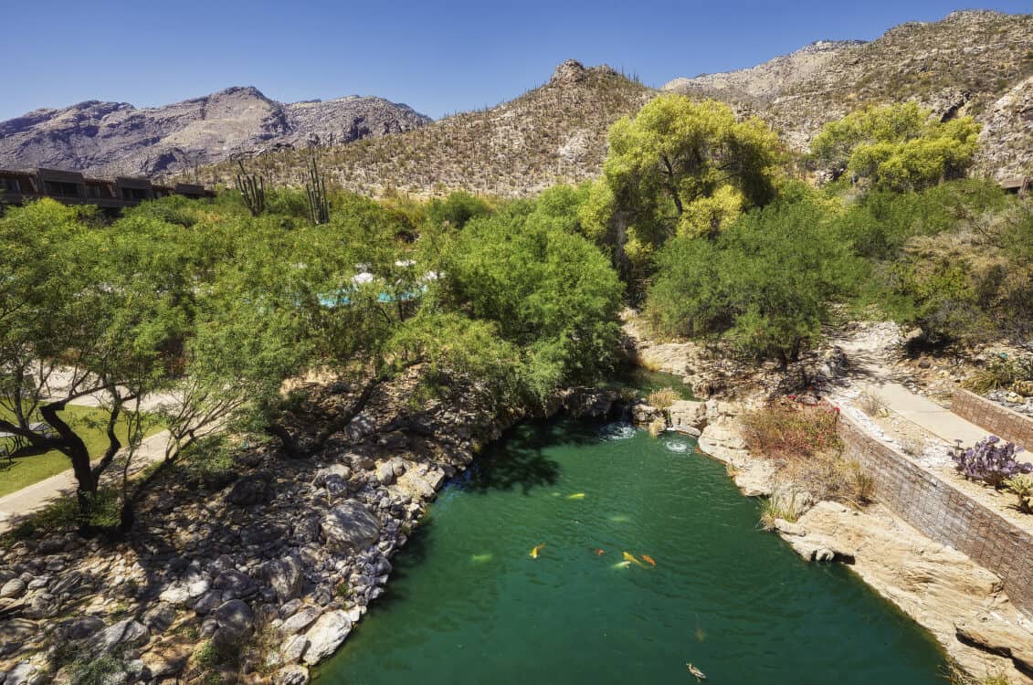 Koi Pond Loews Ventana Canyon Resort Tucson | Resort Report: Loews Ventana Canyon Resort