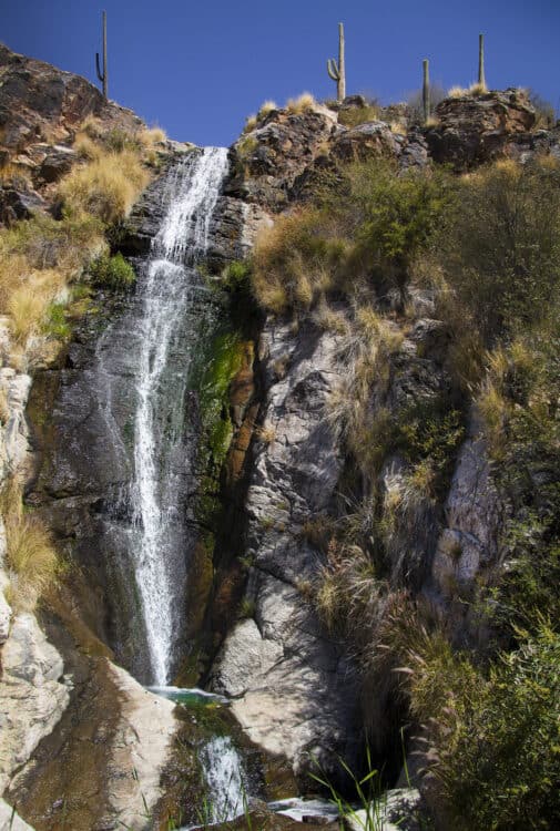 Waterfall Path Hike Loews Ventana Canyon Resort Tucson | Resort Report: Loews Ventana Canyon Resort