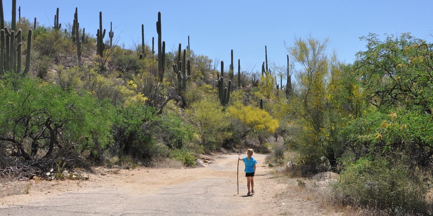 kid hiking sabino canyon tucson | 20 Things To Do With A Baby or Toddler in Tucson