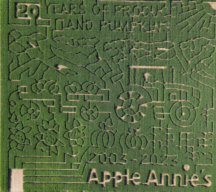 Corn Maze Near Tucson Apple Annies Willcox | Corn Mazes In or Near Tucson