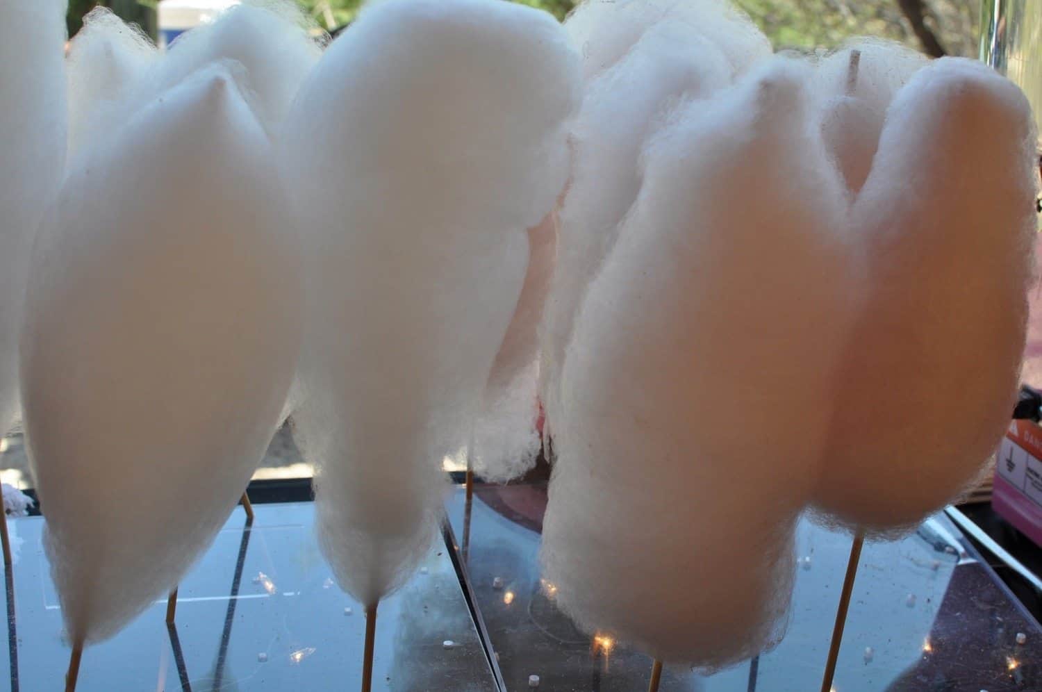 cotton candy at Savor Food & Wine Festival