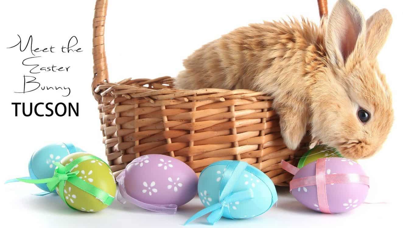 TucsonTopia Things to do in Tucson