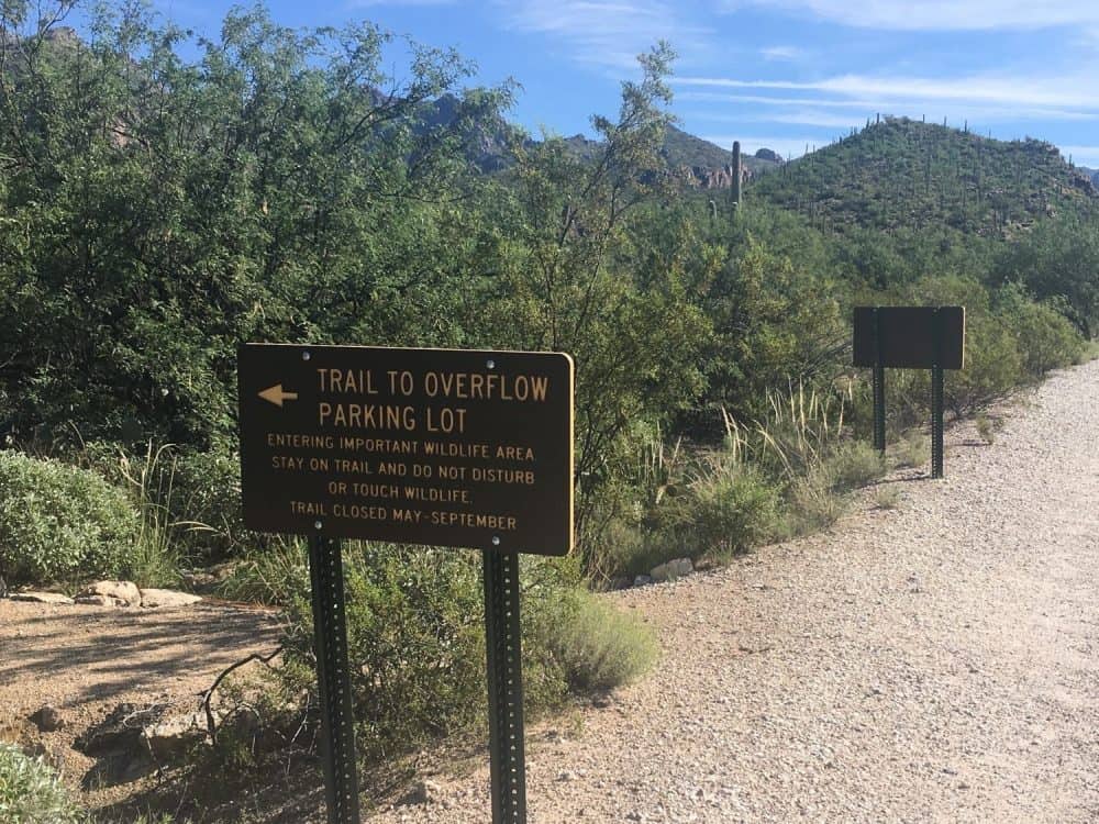 Trail to Overflow Parking Lot Sabino Canyon
