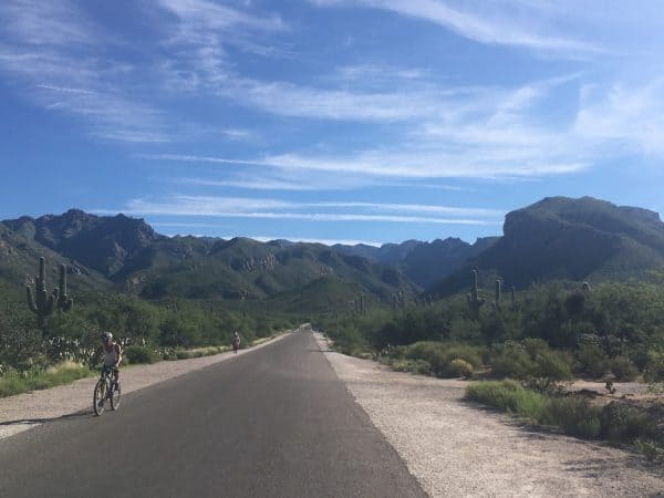 biking Sabino Canyon | Sabino Canyon - Attraction Guide