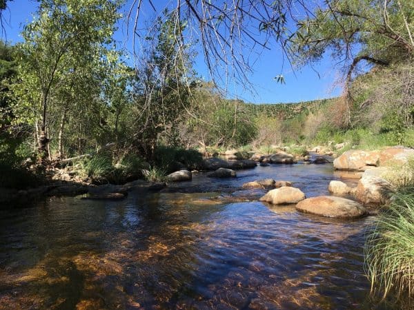 flowing water at Sabino Canyon | Sabino Canyon - Attraction Guide
