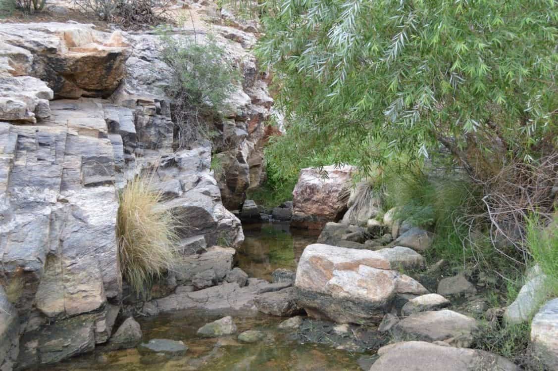 rocks and water at Sabino Canyon by Michael Eskue
