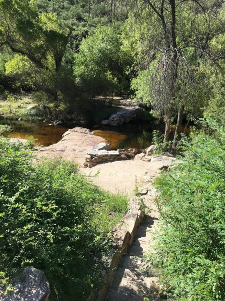 trees and water at Sabino Canyon e1504152627186 | Sabino Canyon - Attraction Guide