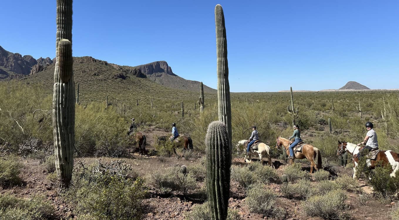 Slow Horseback Ride Tucson Arizona White Stallion Desert | White Stallion Ranch: An All-Inclusive Vacation in Tucson