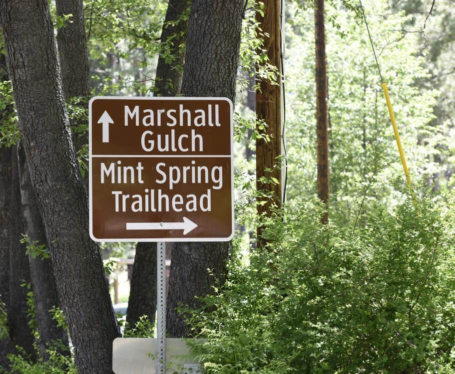 Marshall Gulch and Mint Spring Trailhead Mount Lemmon