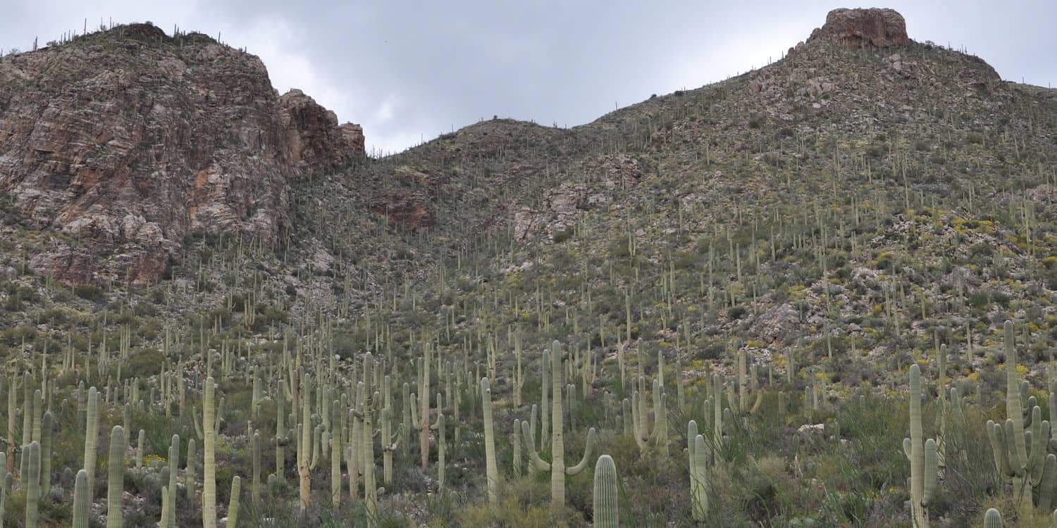 Pima Canyon Tucson Arizona