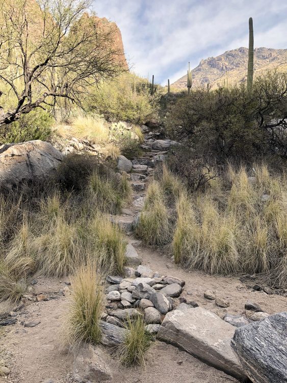 Stepstones on Ventana Canyon Hiking Trail