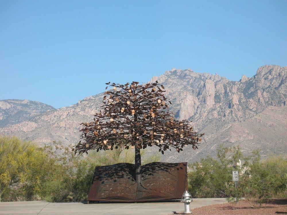 Tree of Knowledge with Mountains2
