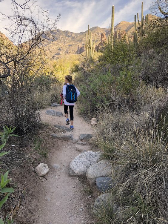 Young Hiker on Ventana Canyon Trail