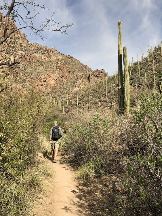 man hiking the Ventana Canyon Trail