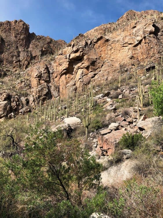 mountainside Ventana Canyon Tucson
