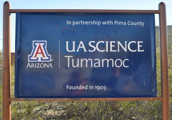 university of arizona tumamoc | Tumamoc Hill - Attraction Guide