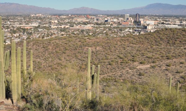 view downtown tucson tumamoc hill | Tumamoc Hill - Attraction Guide