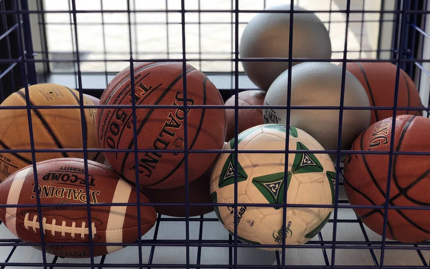 sports balls Phoenician Athletic Club
