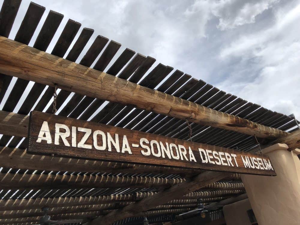 arizona sonora desert museum tucson