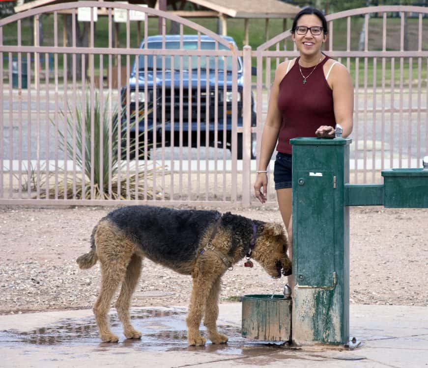 Water Fountain Dog Reid Park