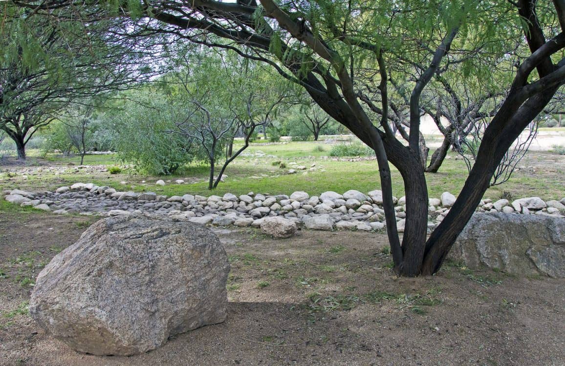 boulder tree Highland Vista Park